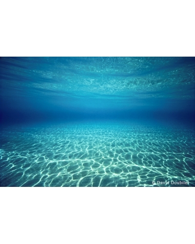 DD04 A desert sea