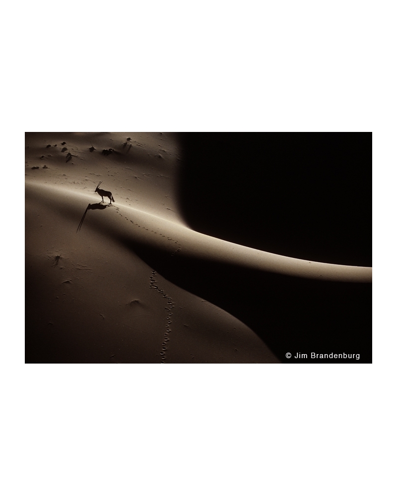M452 Oryx Namibia