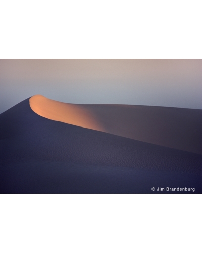 M529 Namib desert dune