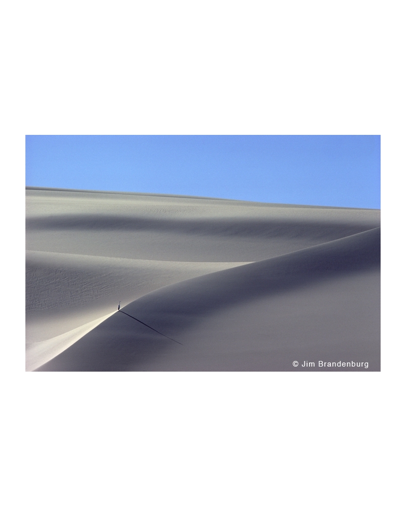 M531 Heron Namib desert
