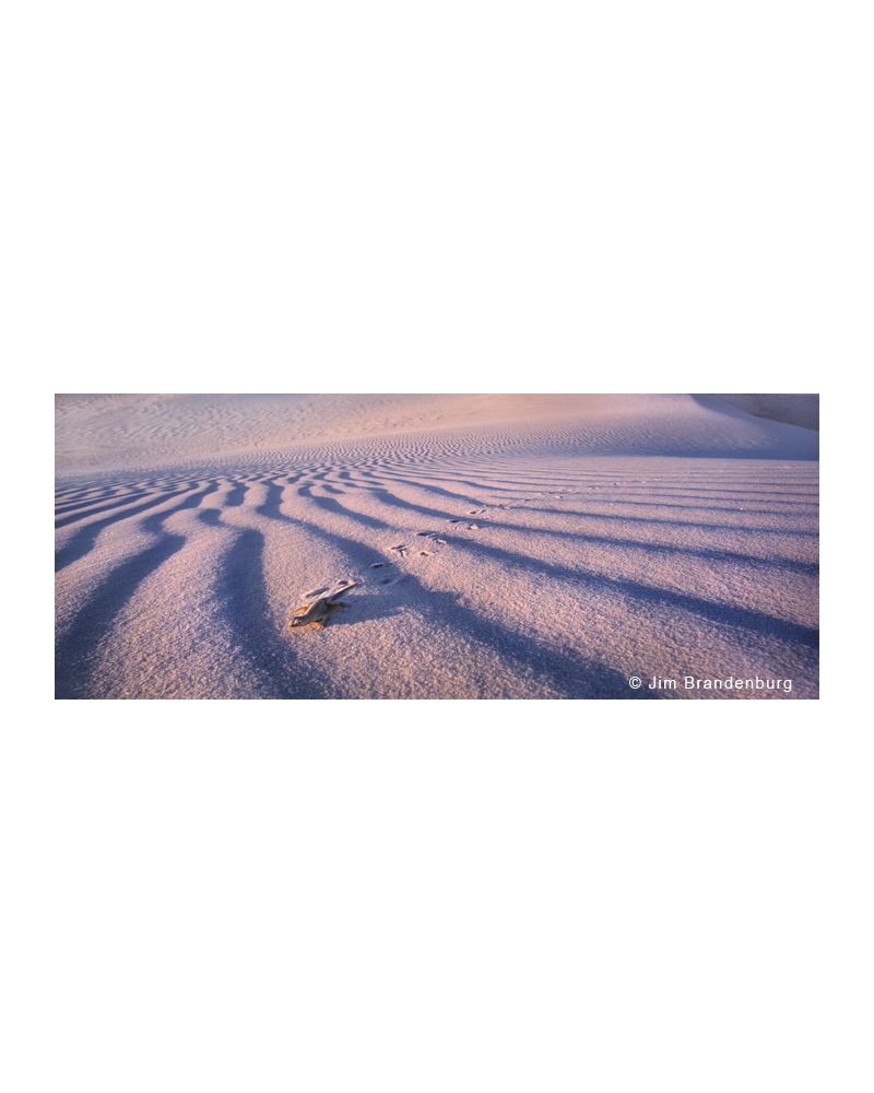 M534 Lizzard, White Sands National Park