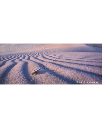 M534 Lizzard, White Sands National Park
