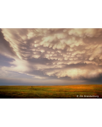 P677 Bubble clouds