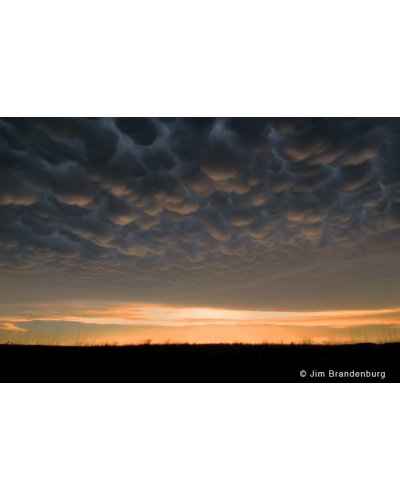 P705 Prairie sky, bubble clouds