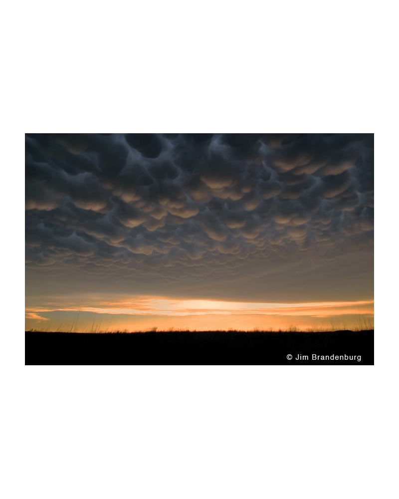 P705 Prairie sky, bubble clouds