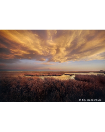 P729 Wet prairie, Montana sky