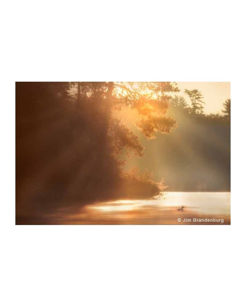 NW649 Sunrise loon lake Vermilion