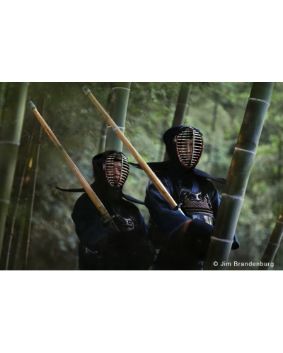 M460 Kendo Swordsmen