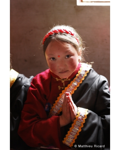 MR2998 Elve de l'cole de Shechen