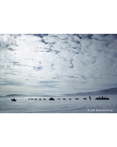 AR19 Inuit dog team, Arctic