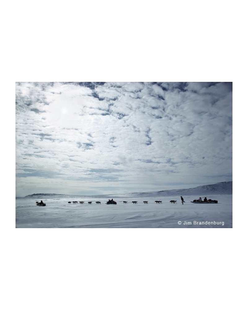 AR19 Inuit dog team, Arctic