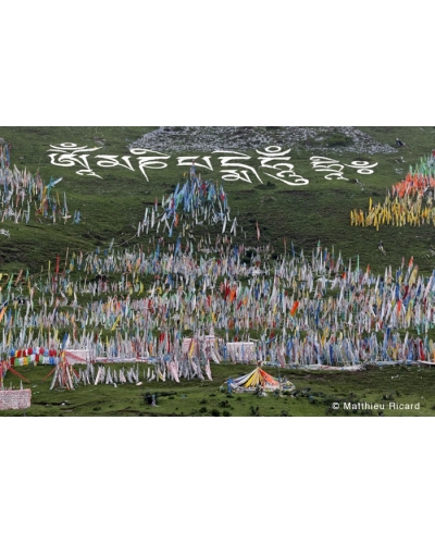 MR3655 Prayer flags