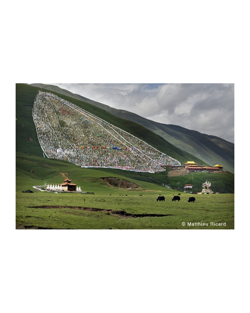 MR3657 Drapeaux à prières