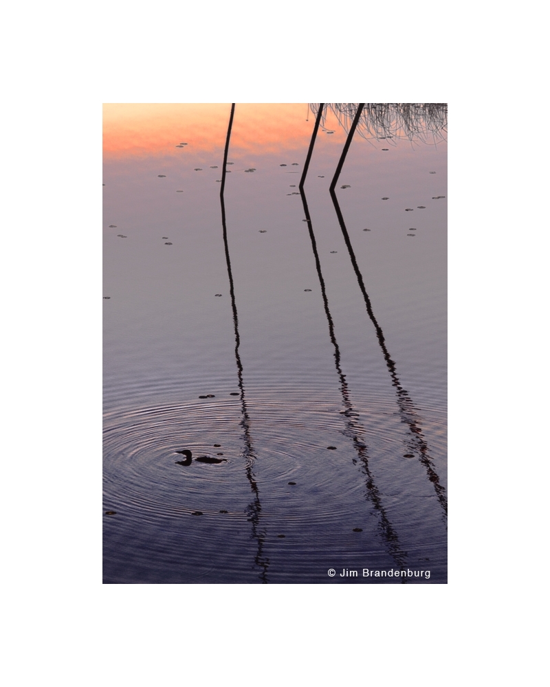 NW719 Pond at dusk