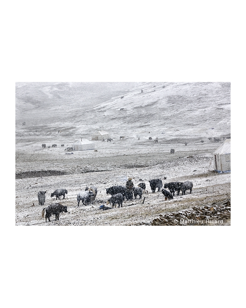 MR4137 Snow in september