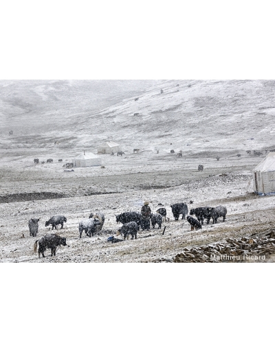 MR4137 Snow in september