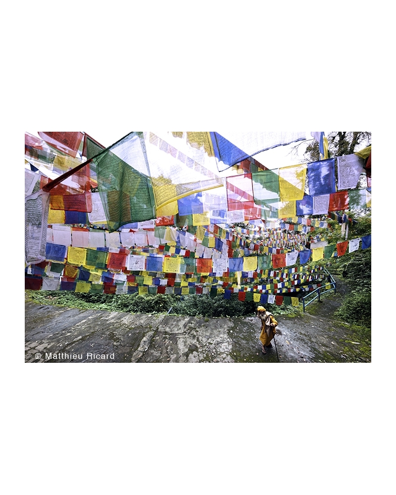 MR4315 Prayer flags