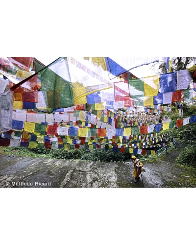 MR4315 Prayer flags