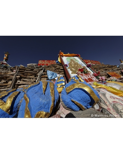 MR4412 Carved mantras