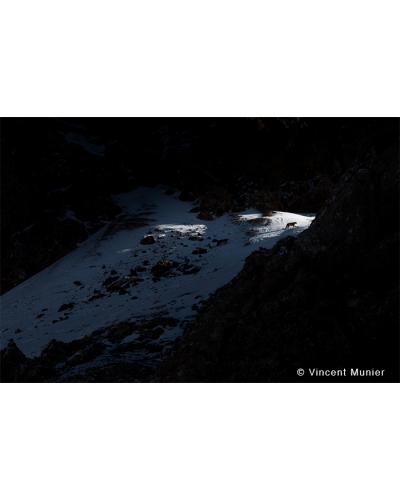 VMTI34 Deux... Panthères des Neiges