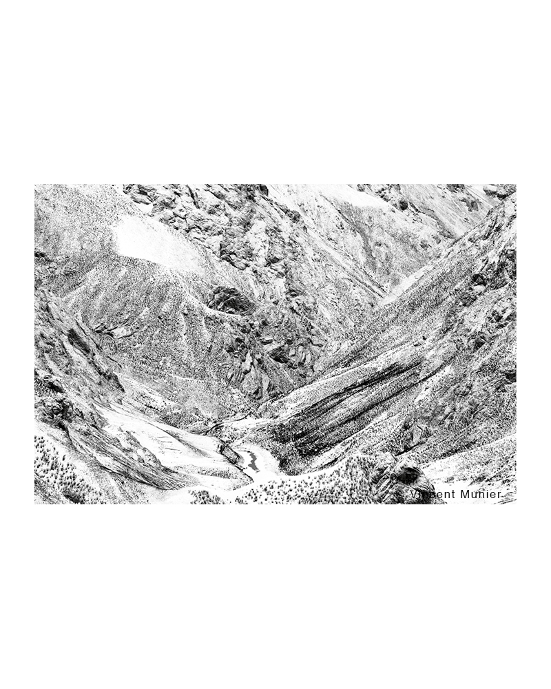 VMTI125 Où Est La Panthère?