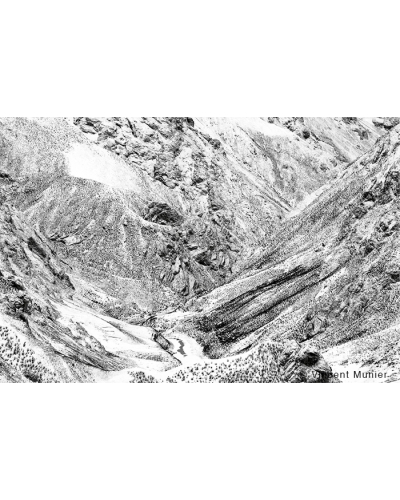 VMTI125 Où Est La Panthère?