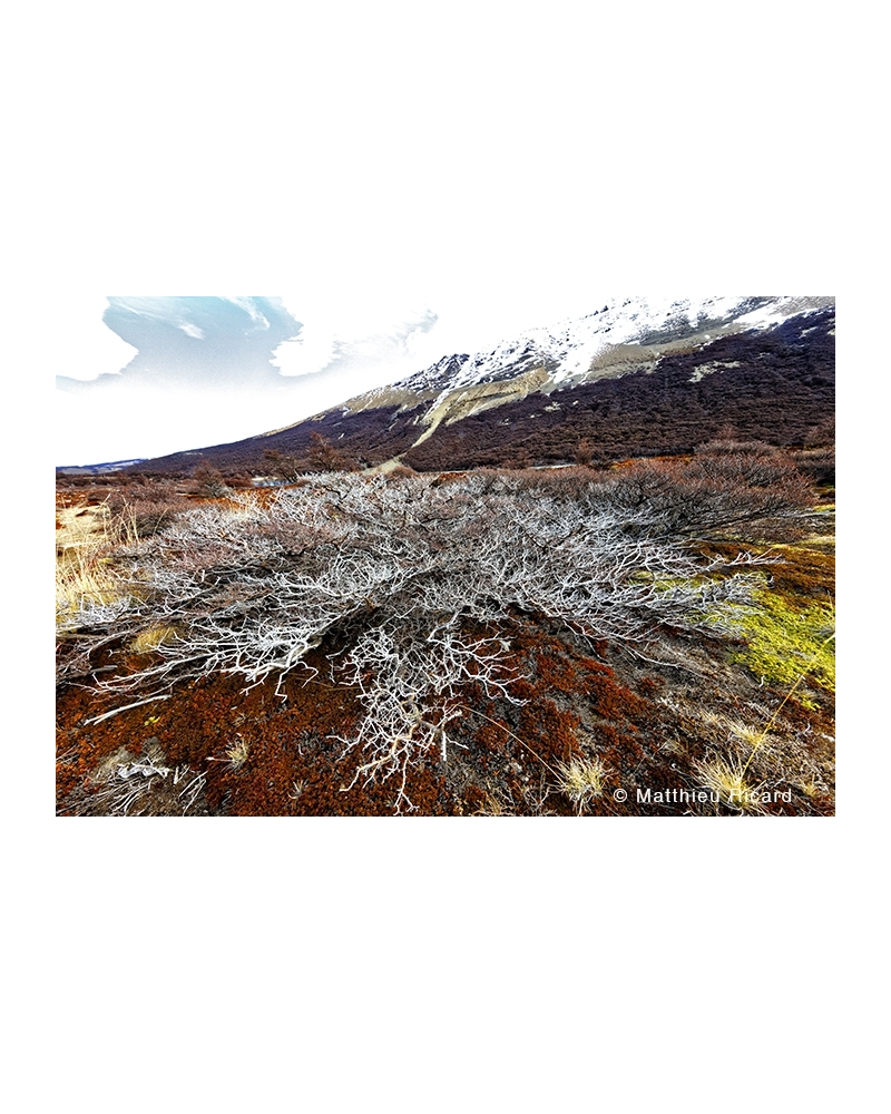 MR5781 Near the Fitz Roy, Patagonia