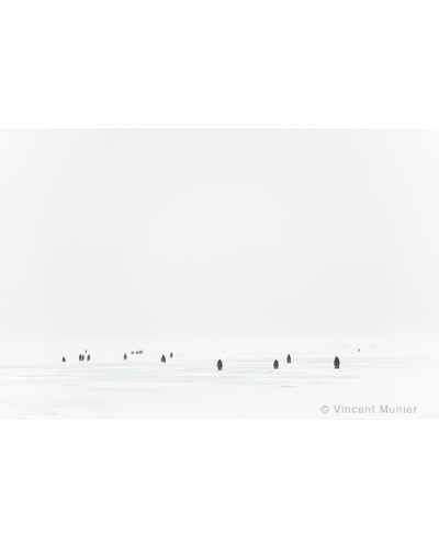 VMTA10 Manchots empereurs