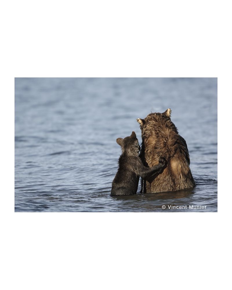 VMKA2073 Bear secret