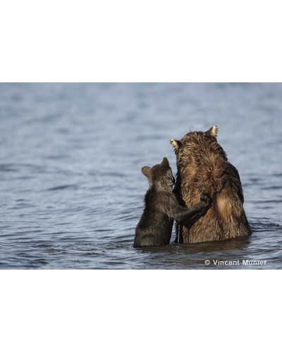 VMKA2073 Bear secret