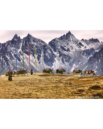 MR7197 Festival des nomades, Bhoutan