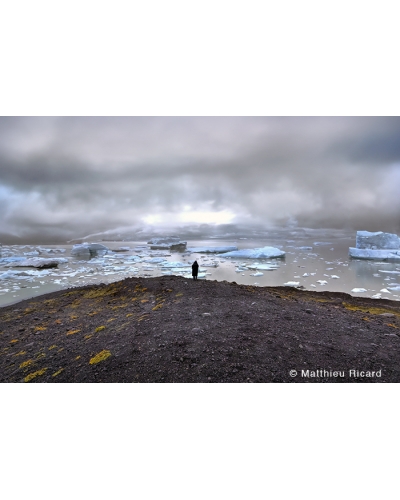 MR7867 Fjallsárlón glacial lagoon