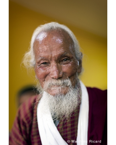 MR8552 Bhutanese hermit