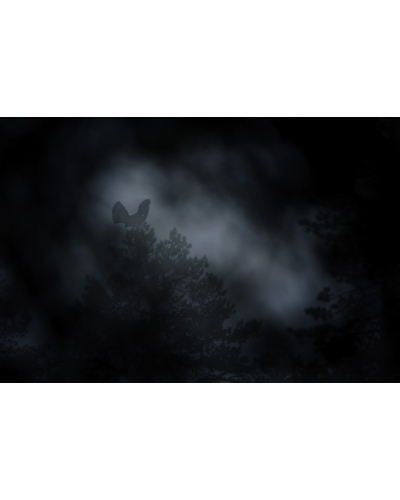 VMCF23 Capercaillie, Vosges