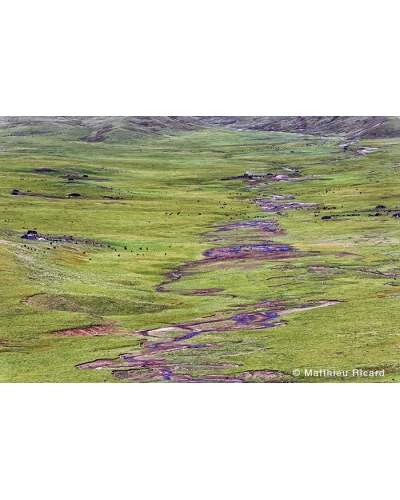 MR1443 Prairies in Tibet