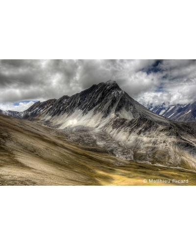 MR3638 Plateau de fleurs, Népal