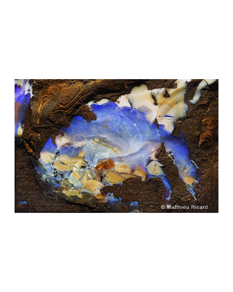 MR7593 Opal