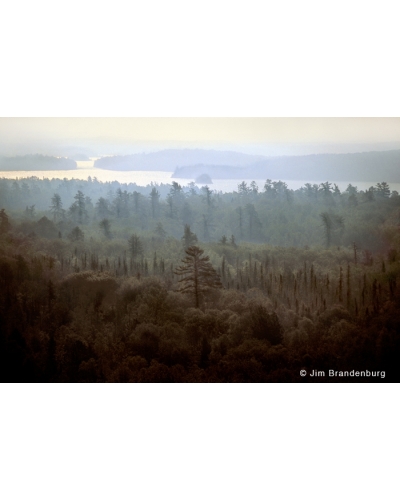 NW513 Boundary waters impressionism