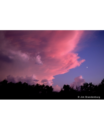 BW23 Pink sky Fernberg