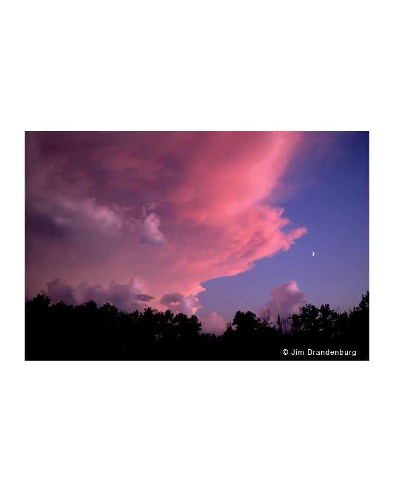 BW23 Pink sky Fernberg