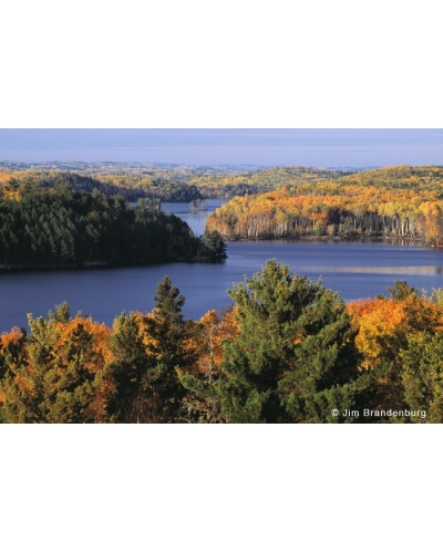 BW63 Moose Lake fall