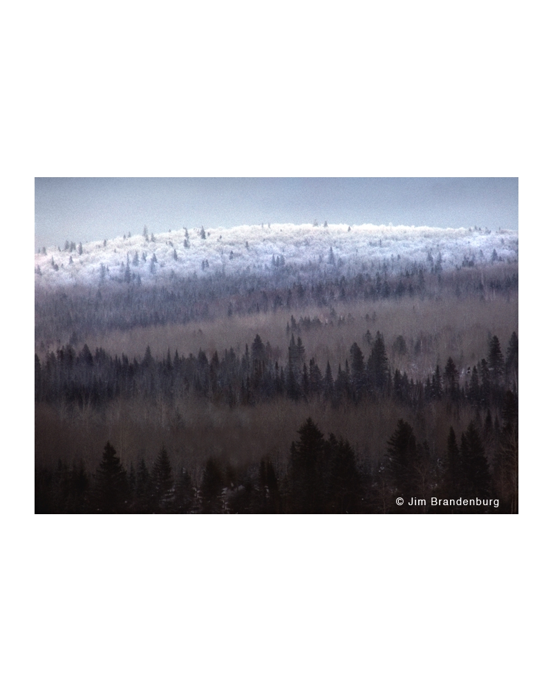 Galerie photo BW86 Frosty hill par Jim Brandenburg