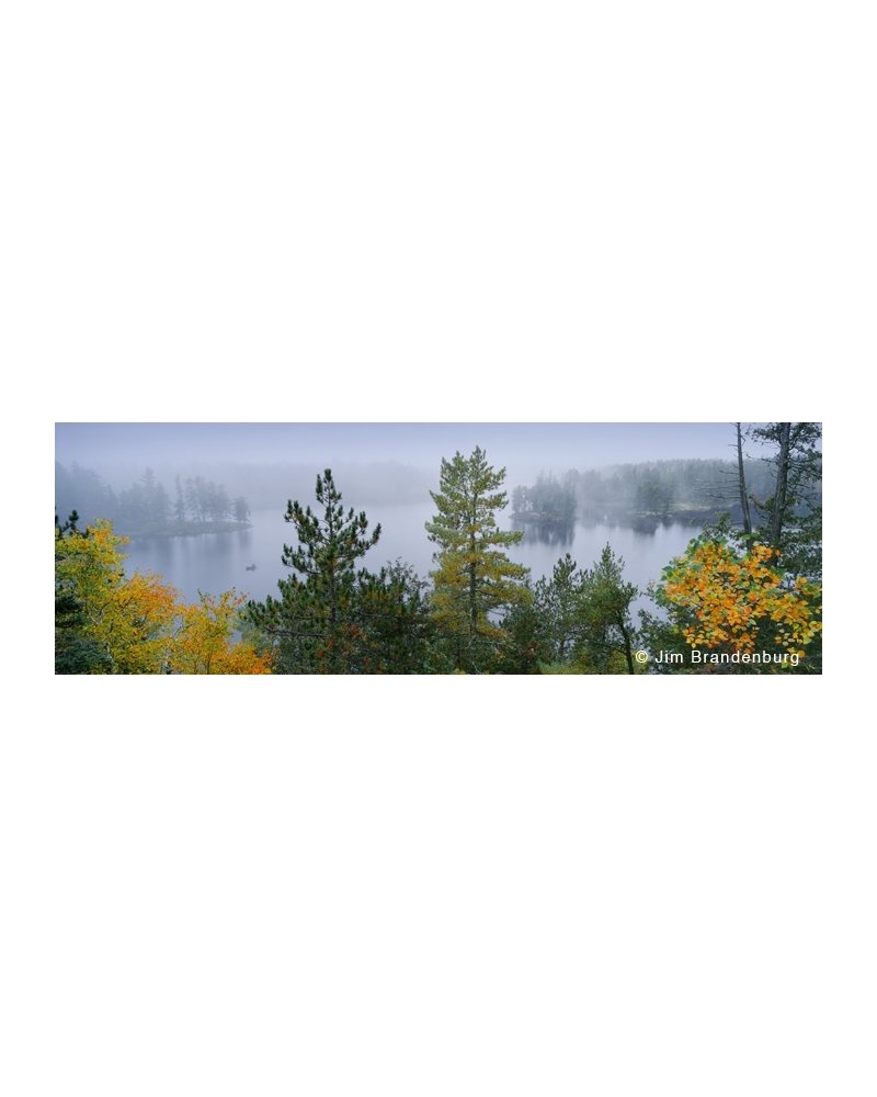 NW546 Autumn mist