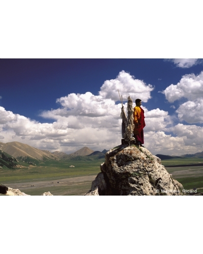 MR760 Moine tibtain