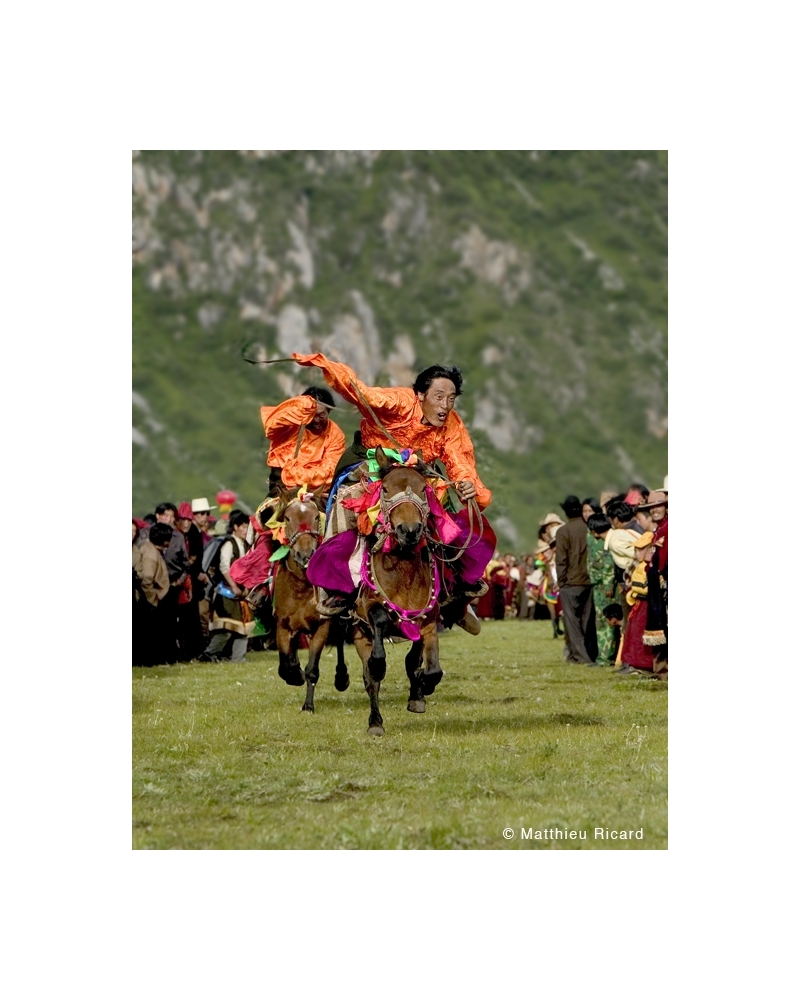 MR1162 Au galop vers l'charpe blanche