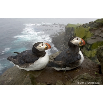 Galerie photo : l'Islande par Jim Brandenburg