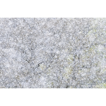 Blanc Nature