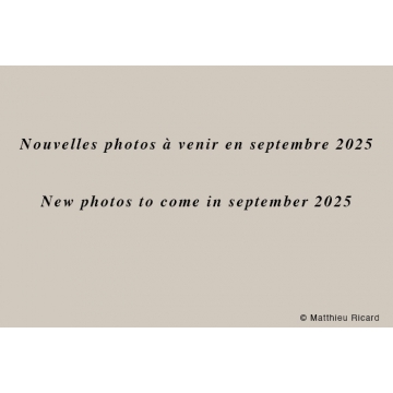 Galerie photo : Nouvelles photos à venir en Septembre 2025 par Matthieu Ricard