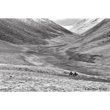 Photo art : black and white limited editions by Matthieu Ricard