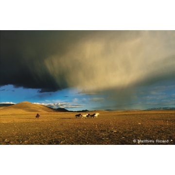 Photo art : On pilgrimage paths by Matthieu Ricard